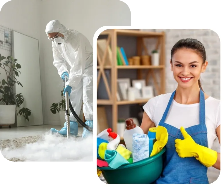 Carpet Cleaning