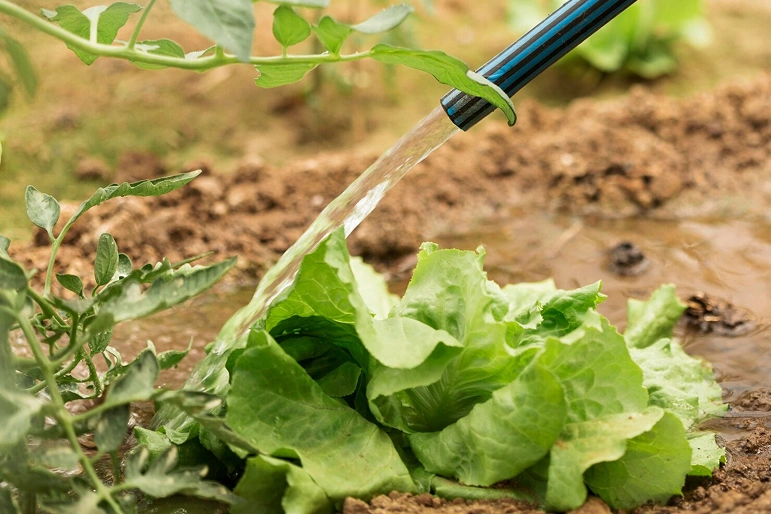 Irrigation & Sprinklers