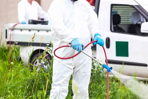 Mosquito & Seasonal Pest Services