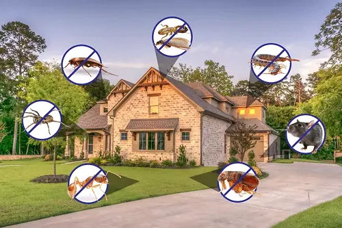 Residential Pest Control img