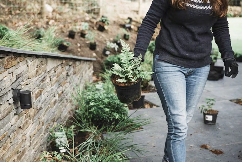 Sustainable Landscaping