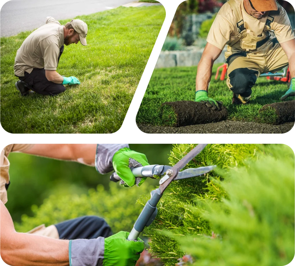 landscape-seo-services