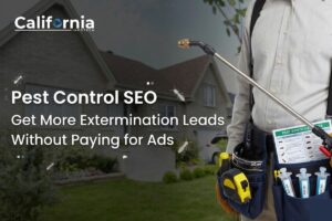 Pest Control SEO
